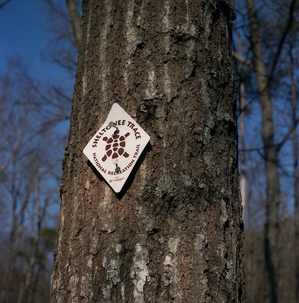 Sheltowee Trace sunset.jpg